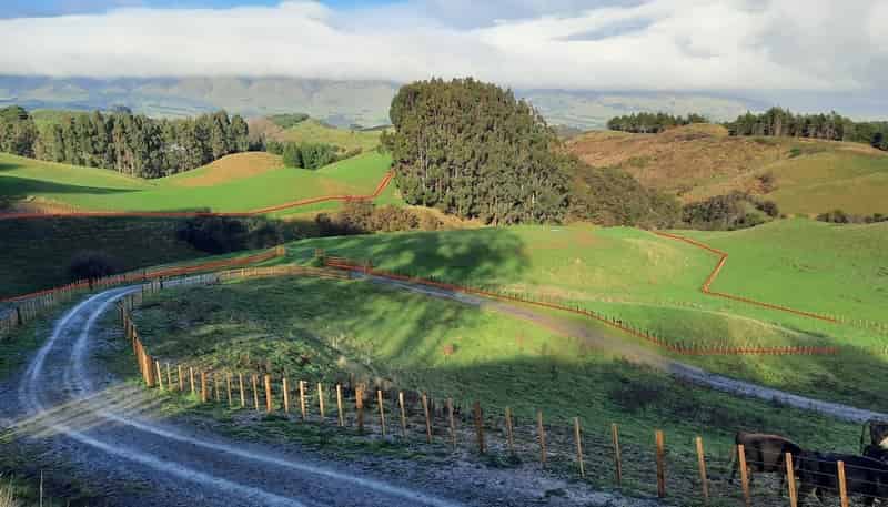 550 Finnis Road Lot 2, Pohangina