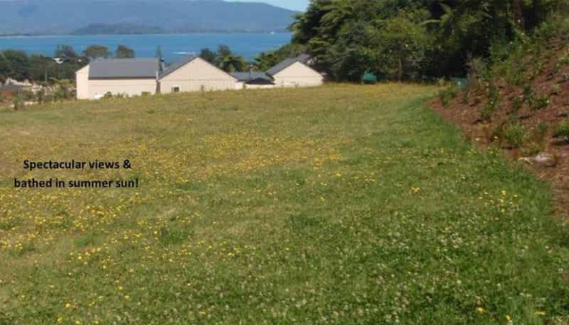 1317 Abel Tasman Drive, 