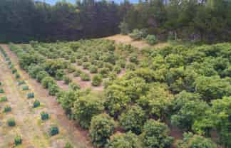  State Highway 1, Waipapakauri