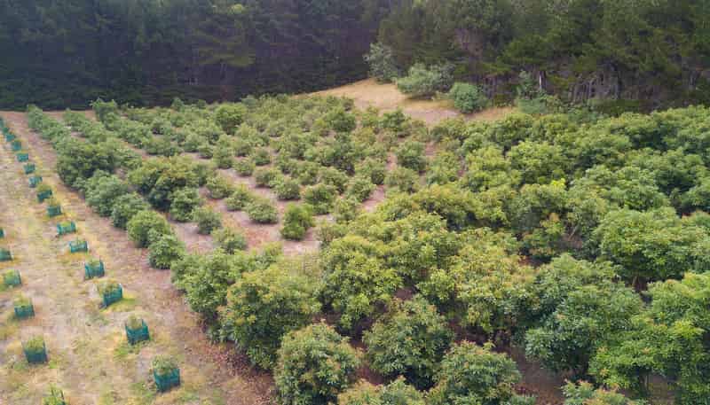  State Highway 1, Waipapakauri