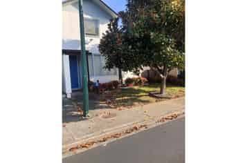 21 Haven Drive, Botany Downs