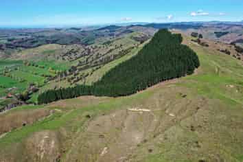 Pt 1, 2433 Matawai Road, Te Karaka