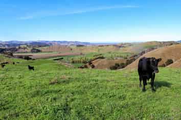 Pt 1, 2433 Matawai Road, Te Karaka