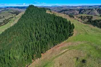 Pt 1, 2433 Matawai Road, Te Karaka