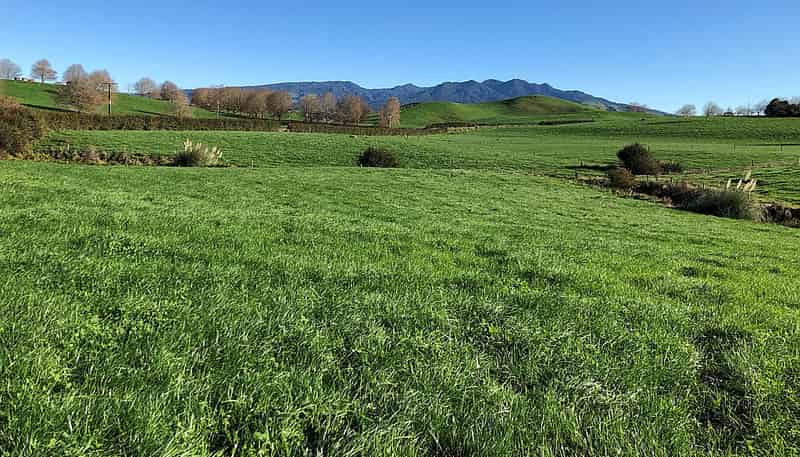 Lot 4 Candy Road, Te Awamutu