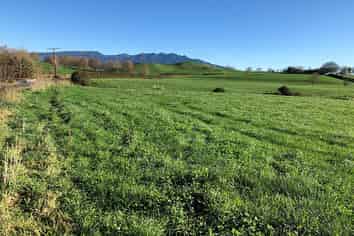 Lot 4 Candy Road, Te Awamutu