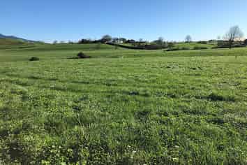 Lot 4 Candy Road, Te Awamutu