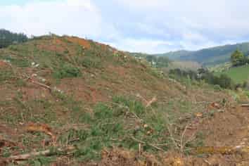  Waingaro Road, Te Akau