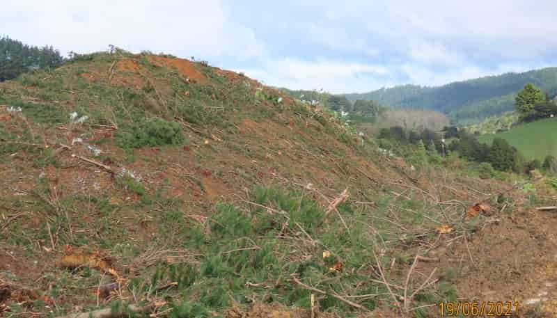  Waingaro Road, Te Akau