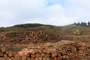  Waingaro Road, Te Akau