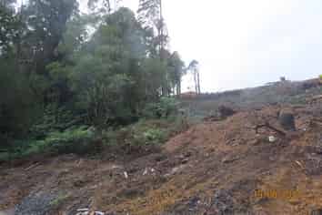  Waingaro Road, Te Akau
