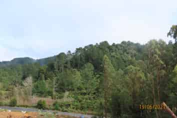  Waingaro Road, Te Akau