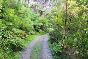 Lot 2 Pohutukawa Bay, Bon Accord Harbour, Kawau Island