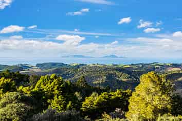 58 Kiwi Bush Lane, Ngunguru