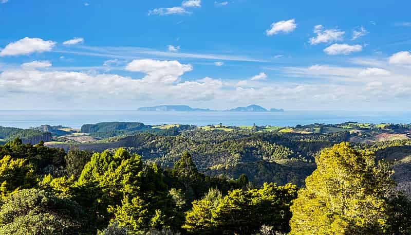 58 Kiwi Bush Lane, Ngunguru