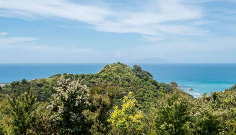 14 Seacoast Road, Mangawhai Heads