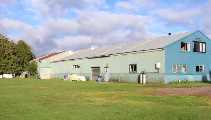 19 Mabel Street, Levin