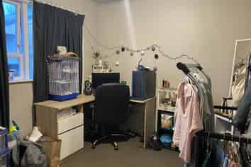 1018C Totara Street, Mahora