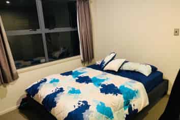 14B May Street, Hamilton East