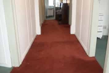 830 Cumberland Street, North Dunedin