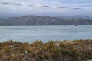 191 Marine Parade, Seatoun