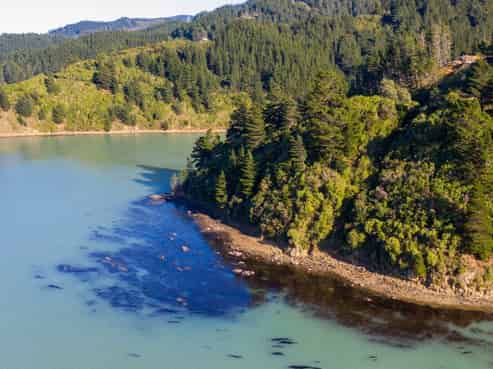 1711 Port Underwood Road, 