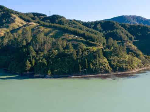 1711 Port Underwood Road, 