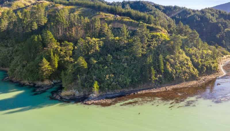 1711 Port Underwood Road, 