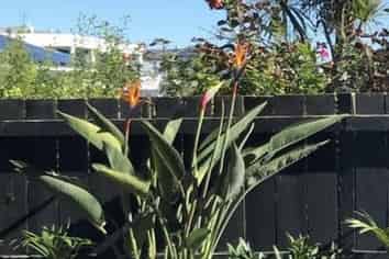 4/59 Sarsfield Street, Herne Bay