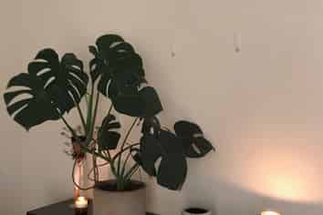 4/59 Sarsfield Street, Herne Bay