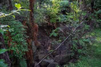 Lot 1 Puketiti Drive, Mangonui