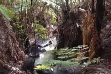 Lot 1 Puketiti Drive, Mangonui