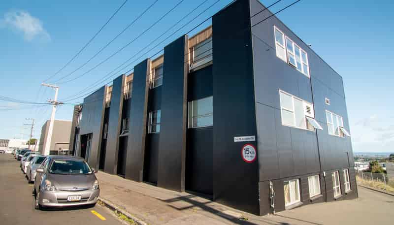 14H Akepiro Street, Mount Eden