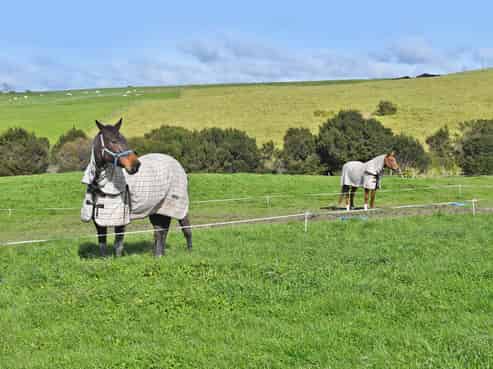 64 Brown Road, Kaiwaka