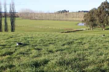 718 Herbert Road, Maheno