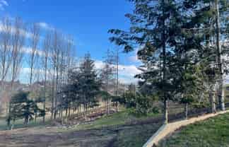 50B Jellicoe Street, Washdyke