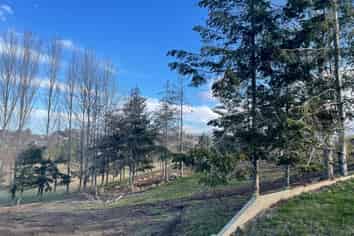 50B Jellicoe Street, Washdyke