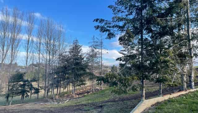 50B Jellicoe Street, Washdyke