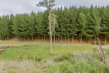 490 Foxton Shannon Road, Foxton