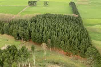 490 Foxton Shannon Road, Foxton