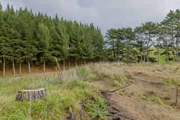 490 Foxton Shannon Road, Foxton