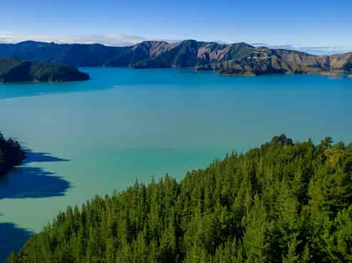  Port Underwood Road, 