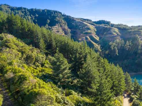  Port Underwood Road, 