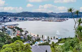 24 Robieson Street, Roseneath