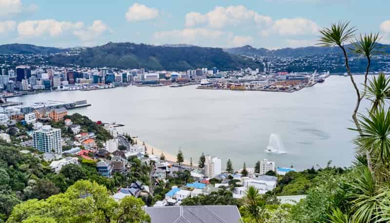 24 Robieson Street, Roseneath