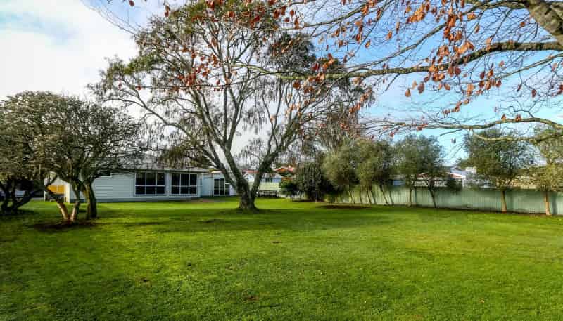 111C Rata Street, Inglewood