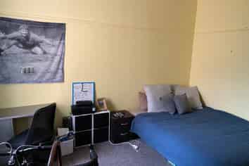 33 Clyde Street, North Dunedin