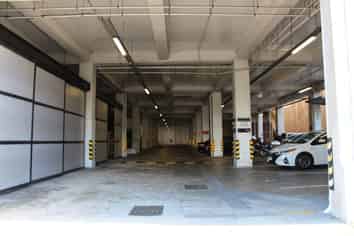 Splendid in the Satchi!