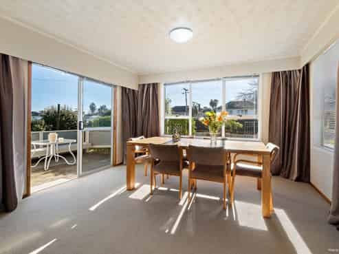 17 Ellen Street, Manurewa East