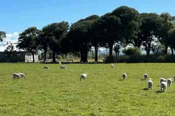 224 Wyndham Letterbox Road, Wyndham Surrounds